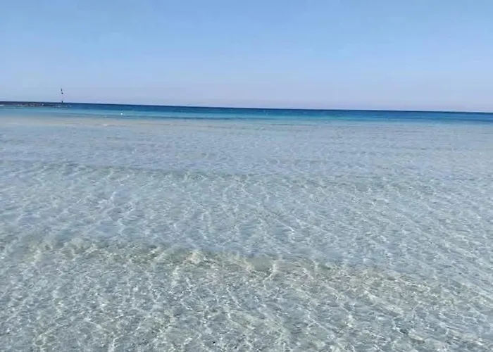 Diadema Luxury Nardo